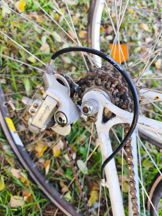 Cursiera Peugeot și Bachmann, Raleigh de oras