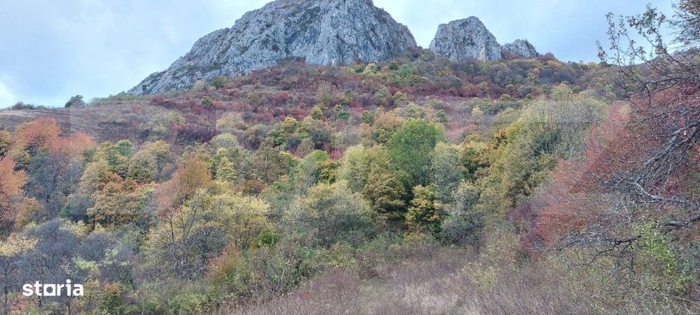 Teren extravilan 16121 mp apa si curent, ideal pentru cabane Zona Rame