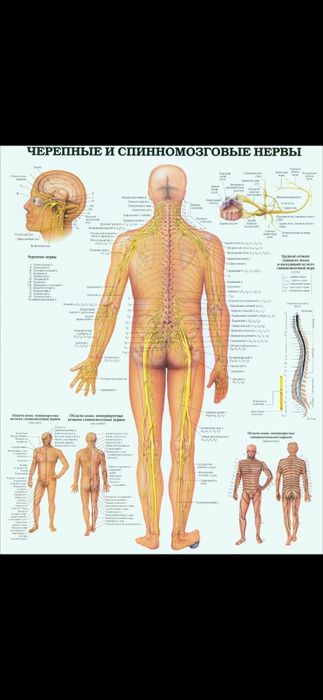 Ударная техника,спина болит