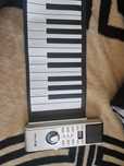 Orga electronica pliabila