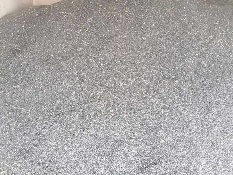 Floarea soarelui