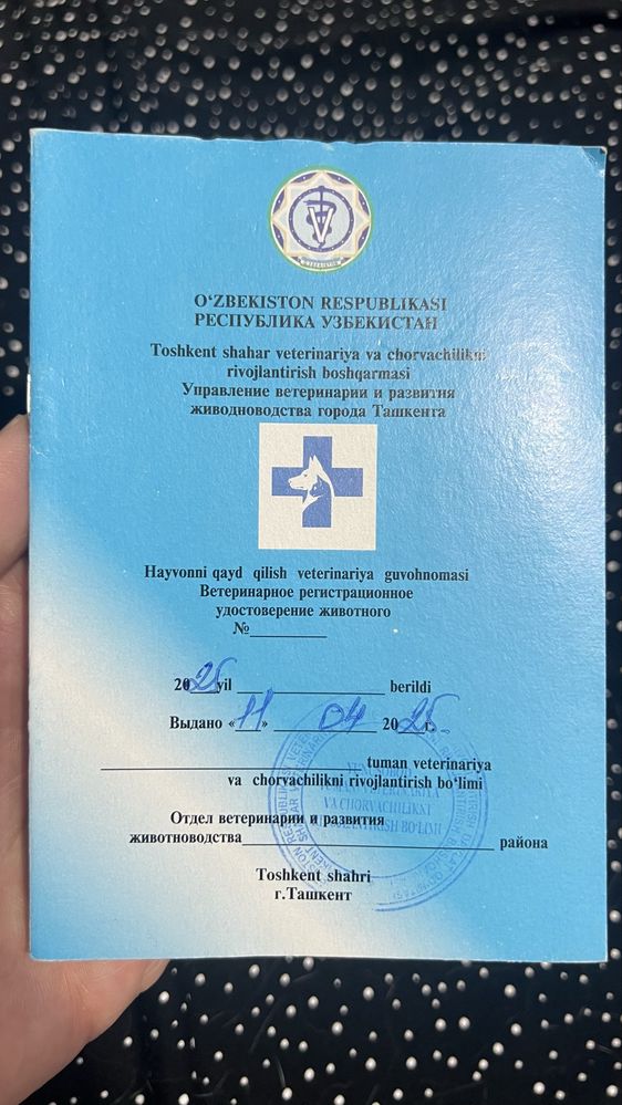 NASL OLISH UCHUN Мальчик кошка 1 год 6 месяц есть паспорт