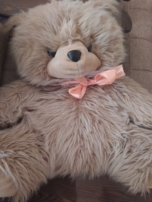 Рог Бухарского Оленя в  Отличном состоянии . И Медведь мягкая игрушка