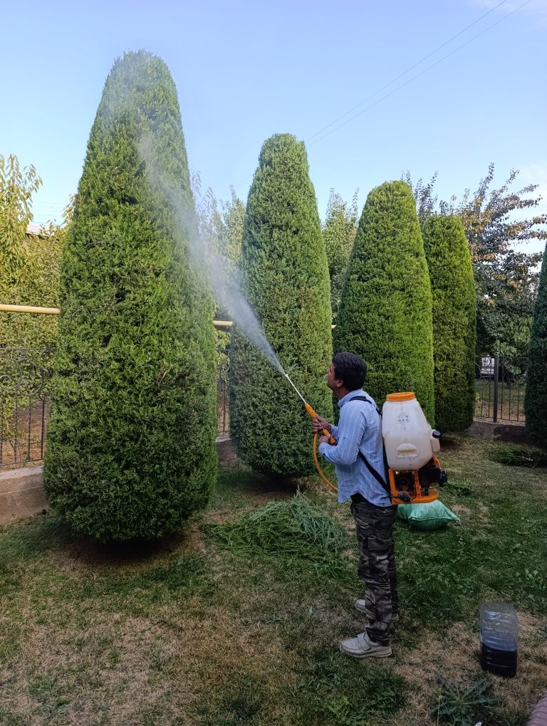 Садовник Garden богбон