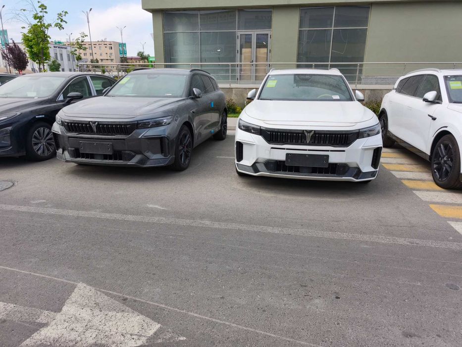 Русификация VOYAH прошивка с гарантией.