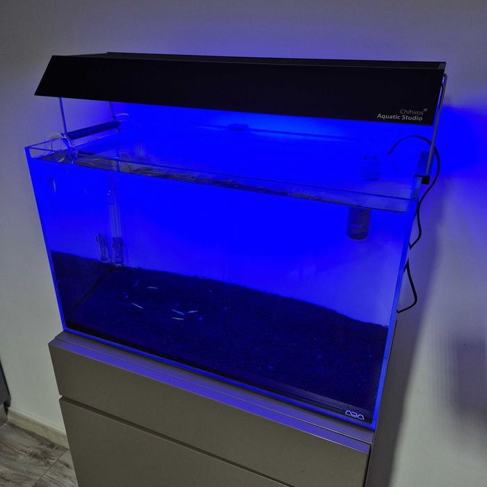 Setup complet acvariu Ada 60p aquascaping