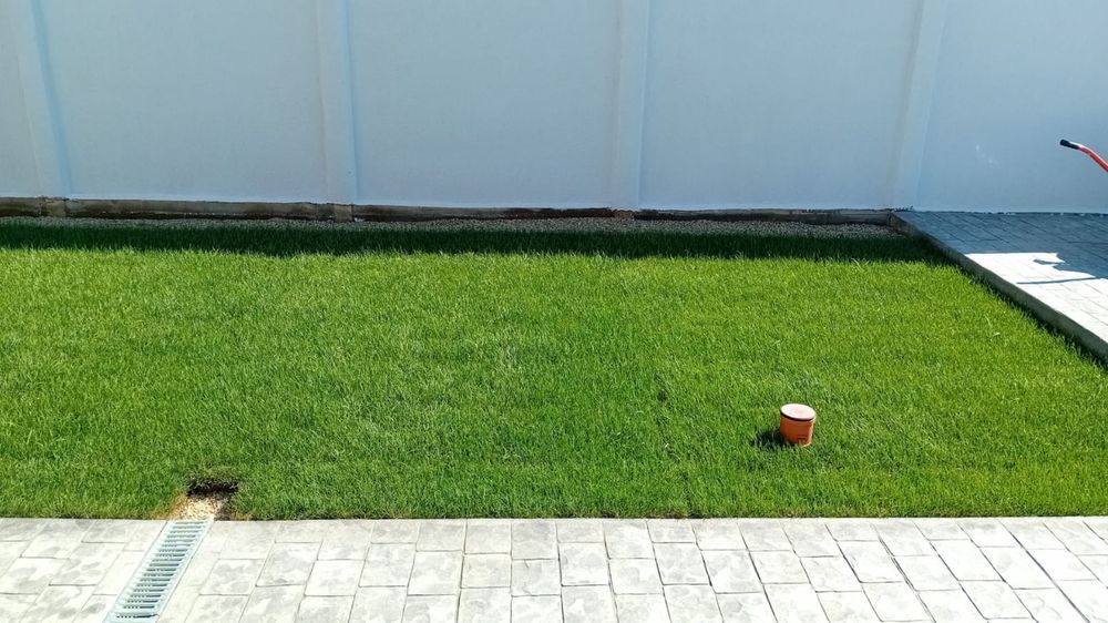 Gazon rulou calitatea 1