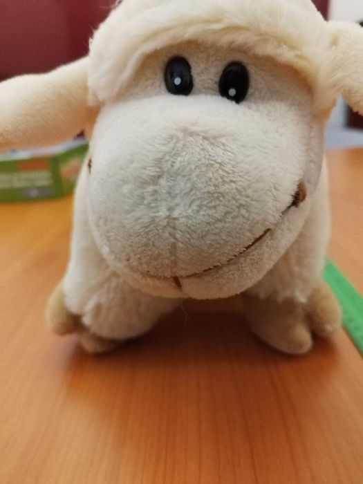 Oita de plus - perna