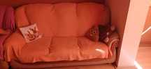 Canapele 3-2-1 living