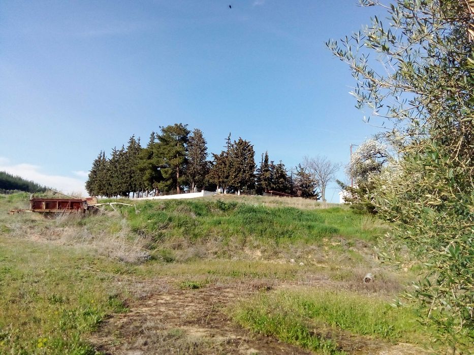 Парцел 790; кв.м. в с. Офринио, Панорама море-115000 евро.