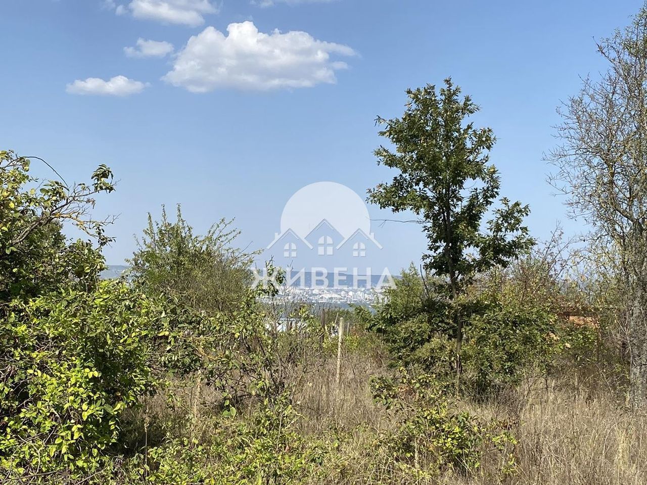 Продава се Парцел в с. Константиново, Област Варна - 500 кв.м за 40 €/кв.м - Снимка #2