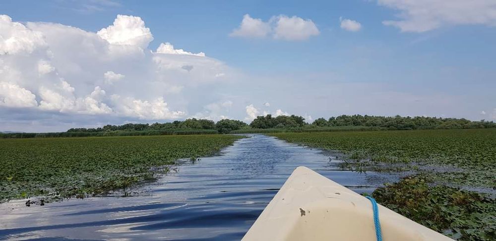 Excursii in Delta Dunarii cu barca