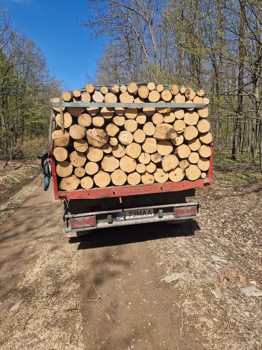 Vand lemne de foc esență tare și esență moale mai multe detalii in pri