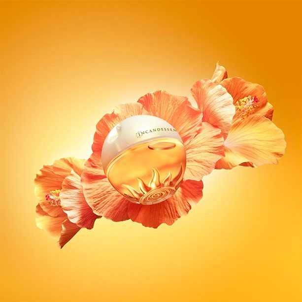 Incandessence Avon