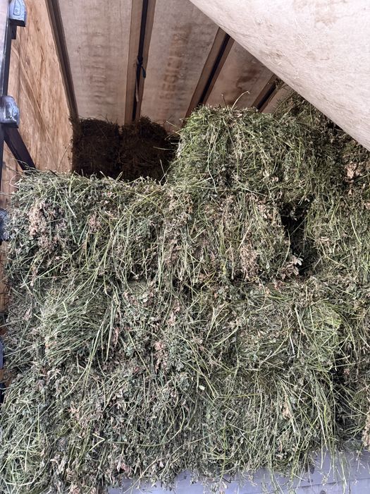 Vand baloti de lucerna