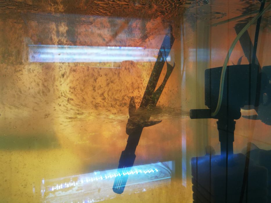 Cap de filtru oxigen