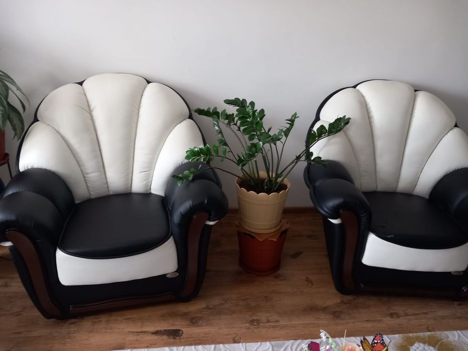 Canapea  + 2 fotolii