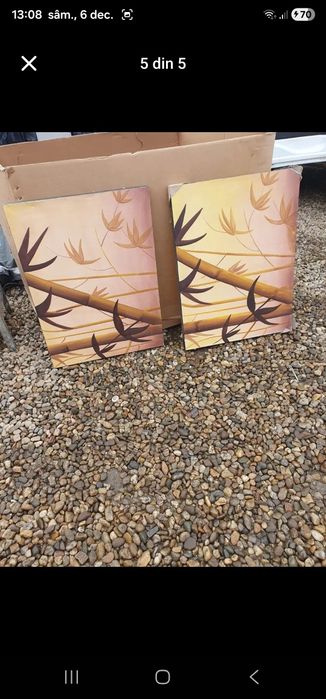 Vând tablouri preț 50 lei bucata