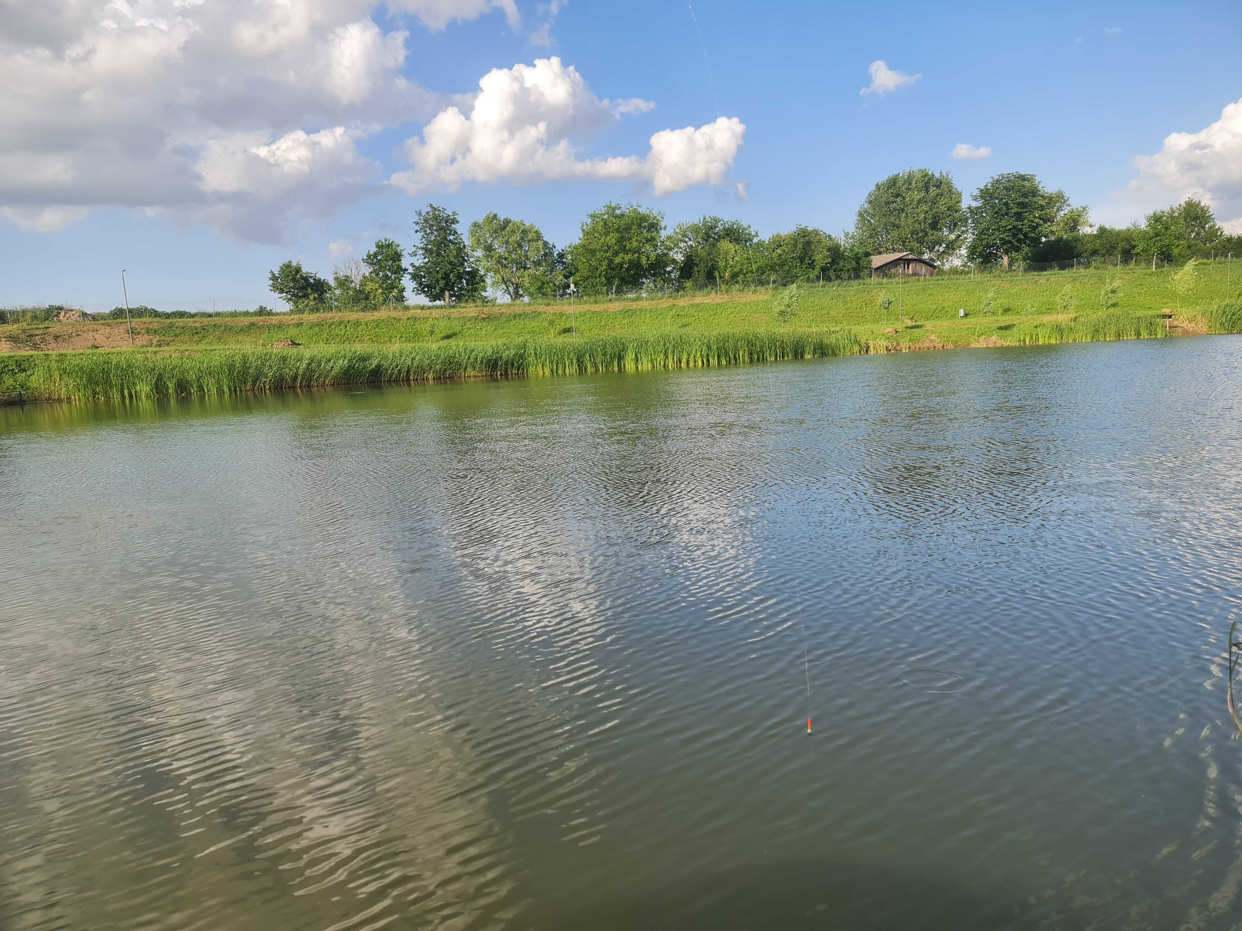 Lac de vânzare – Vetiș, județul Satu Mare