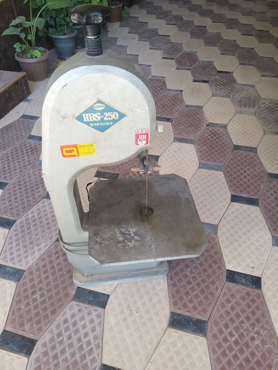 Qassob akalar uchun gush kesadigan arra Kareadan kelgan gusht va suyak