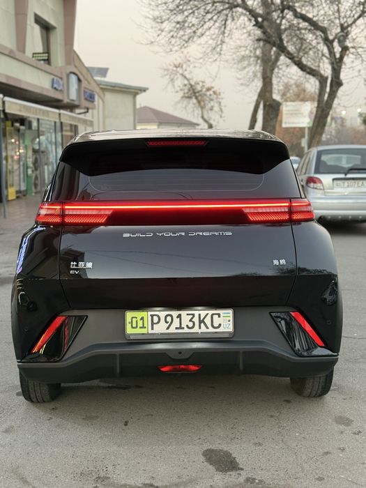 Arenda Nasiya Byd seagull