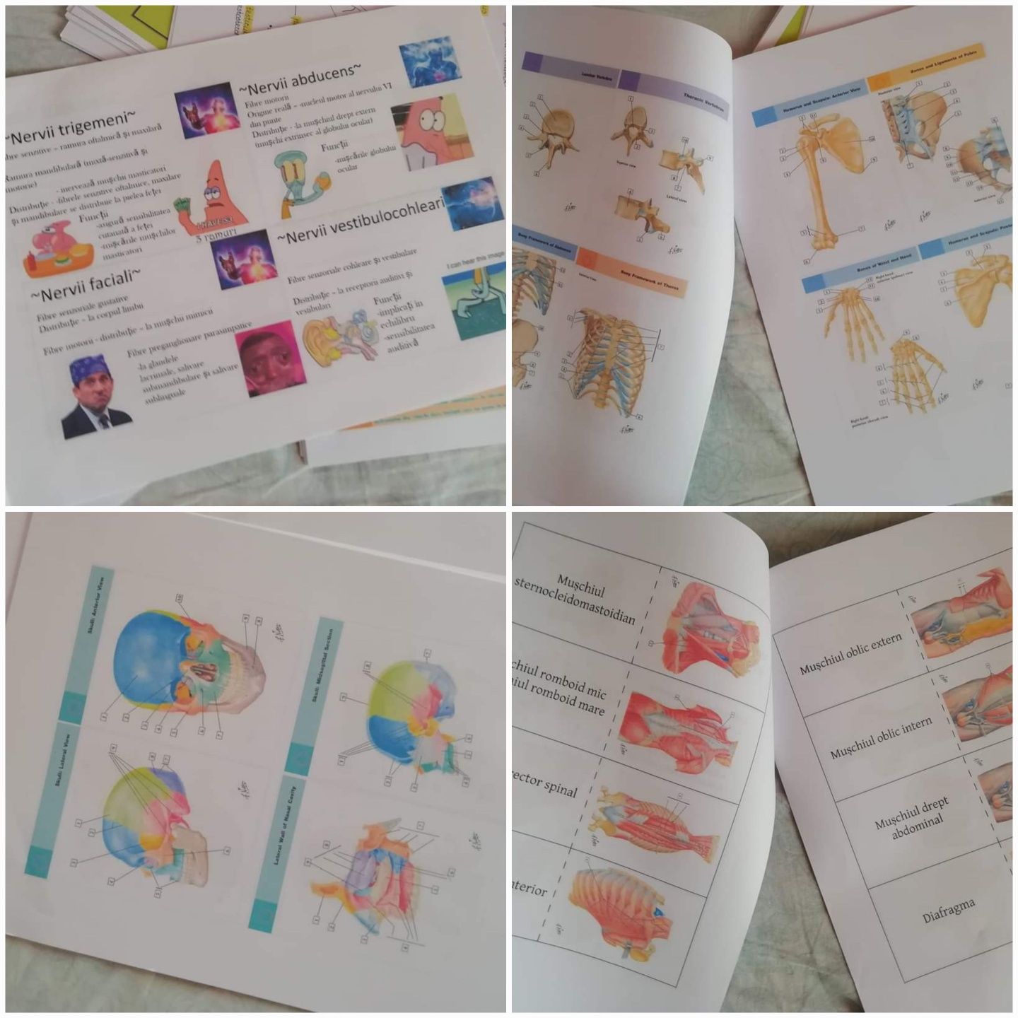 Materiale admitere pt medicină BIOLOGIE