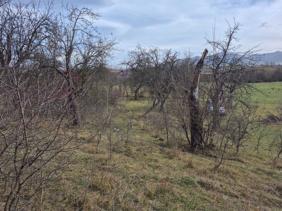 vand teren extravilan in zona Orlat , Jud. Sibiu , 2800 mp