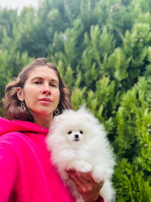 Pomeranian Alb. Superb și mini