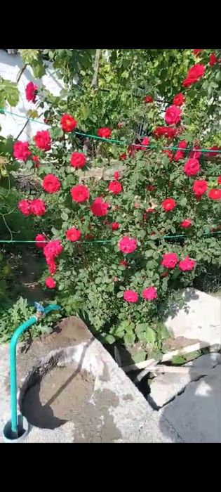 Продаётся дом. Недорого