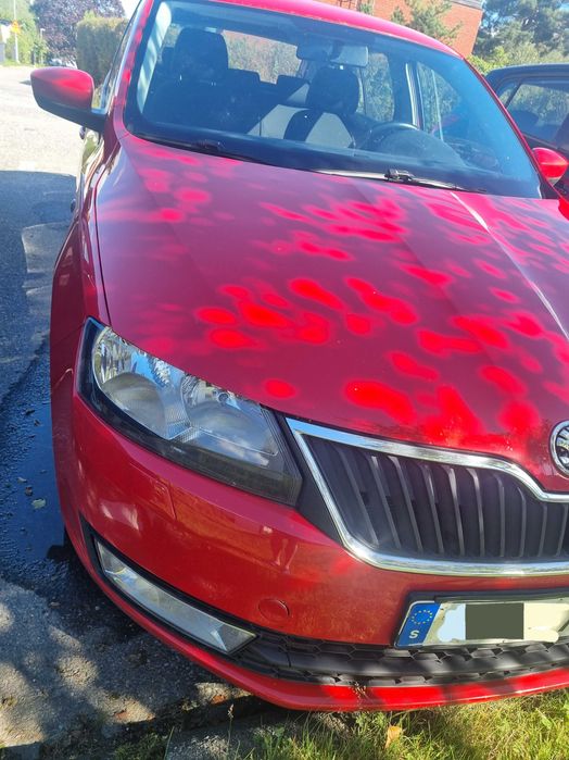 Skoda Rapid 1.6 TDI