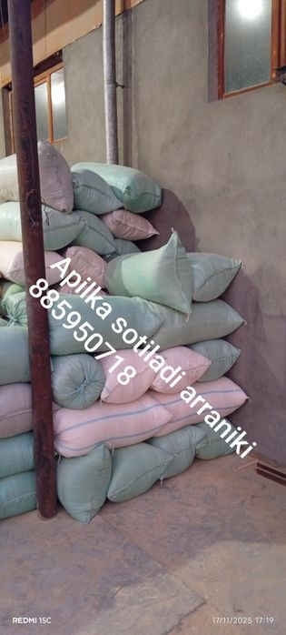 Apilka bor sotiladigan