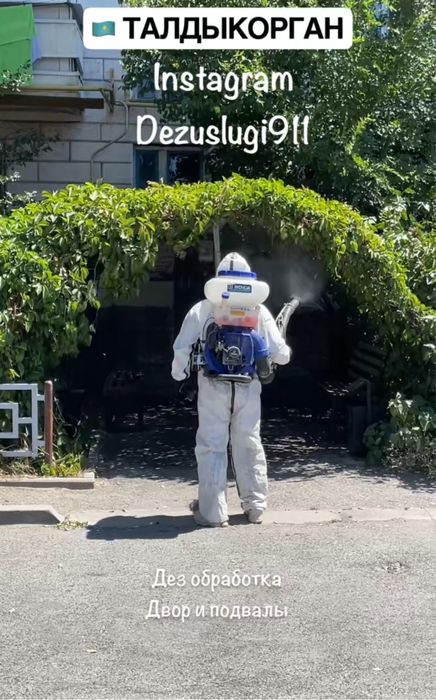 Дезинсекция дезинфекция дератизация Талдыкорган клопы тараканы мыши