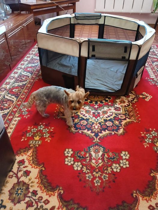 Манеж сборный для собачки