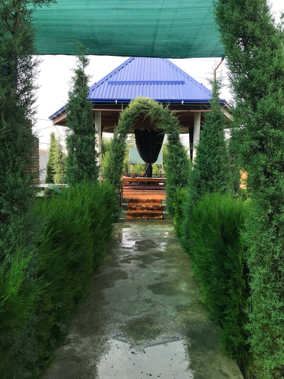 Самарканд   дача.