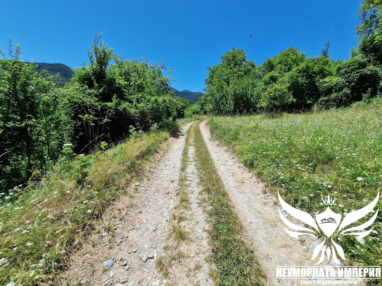 Продава се Парцел в с. Орехово, Област Смолян - 900 кв.м за 22 €/кв.м - Снимка #3