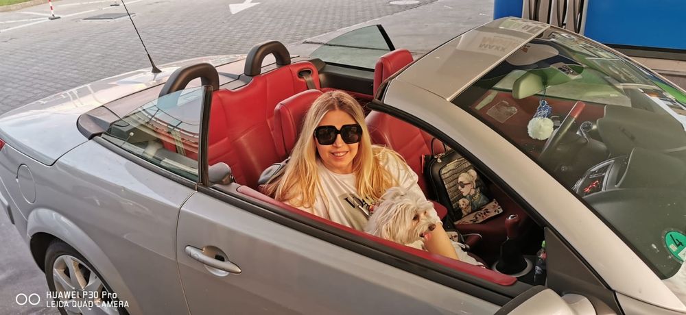 Renault cabrio argintiu