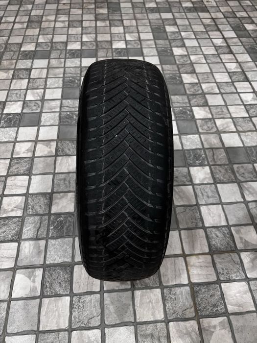 Imperial archa balon