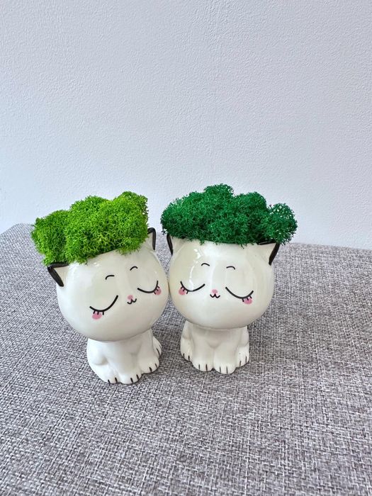 Cadou Figurine pisica licheni stabilizati