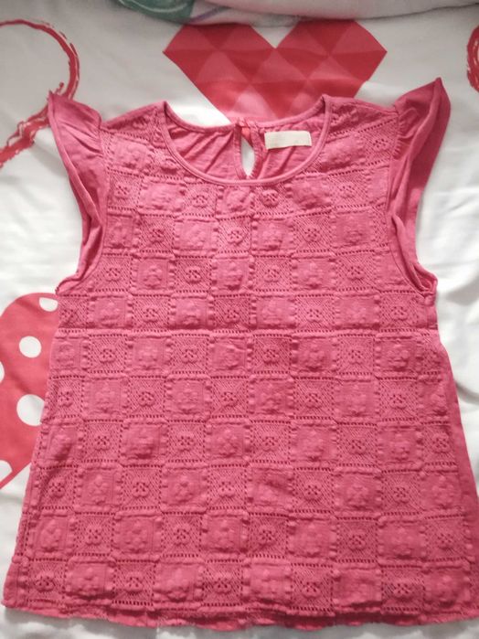 Bluza roz sau verde Zara cu broderie