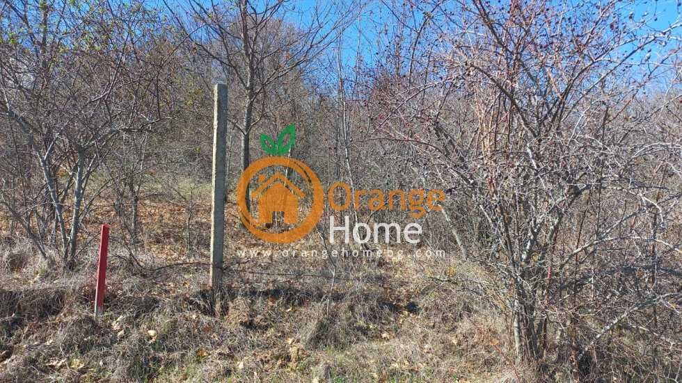 Продава се Парцел в с. Осеново, Област Варна - 1070 кв.м за 18 €/кв.м - Снимка #3