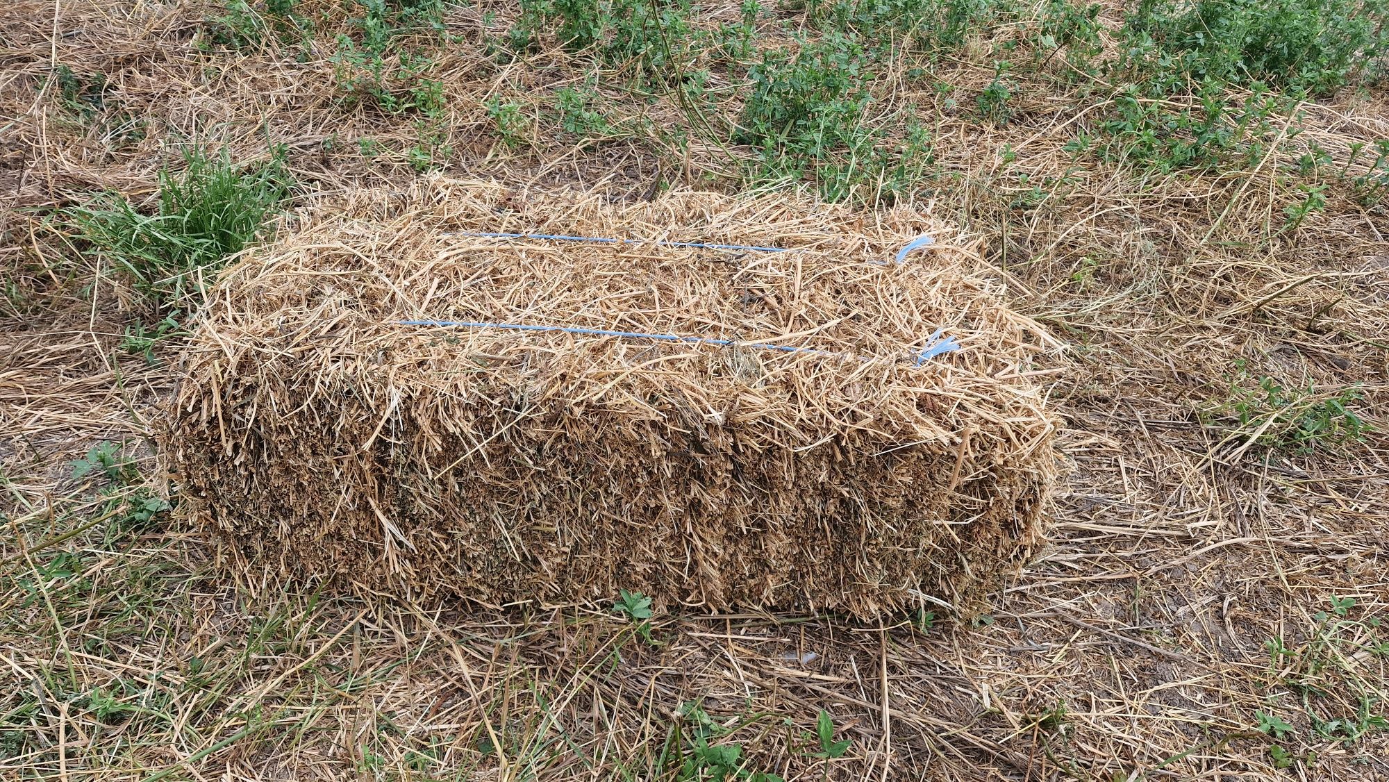 Vând Baloți lucernă