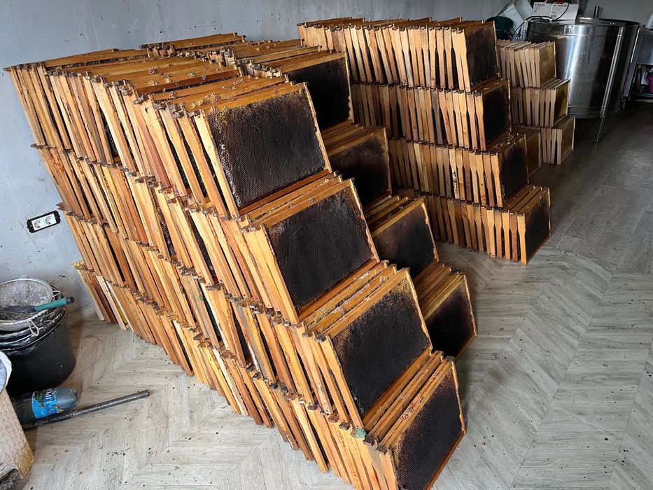 Vand rame dadant 1/1 cladite