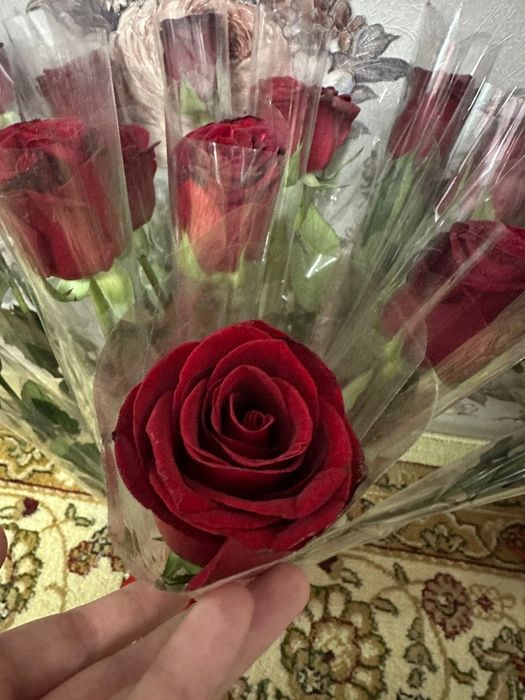 Гул сатылады арзан багада