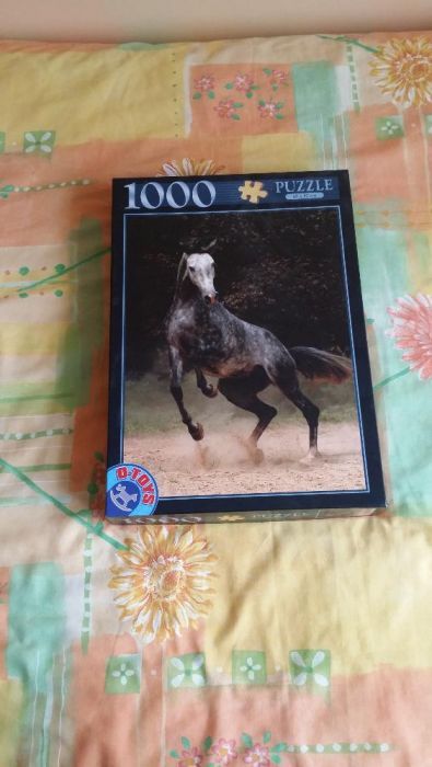 Vand Puzzle-uri - Corabie si Wild Horse