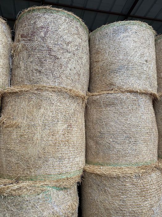 Vând Baloti de Lucerna.