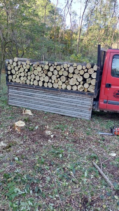 Lemn pentru foc esență tare