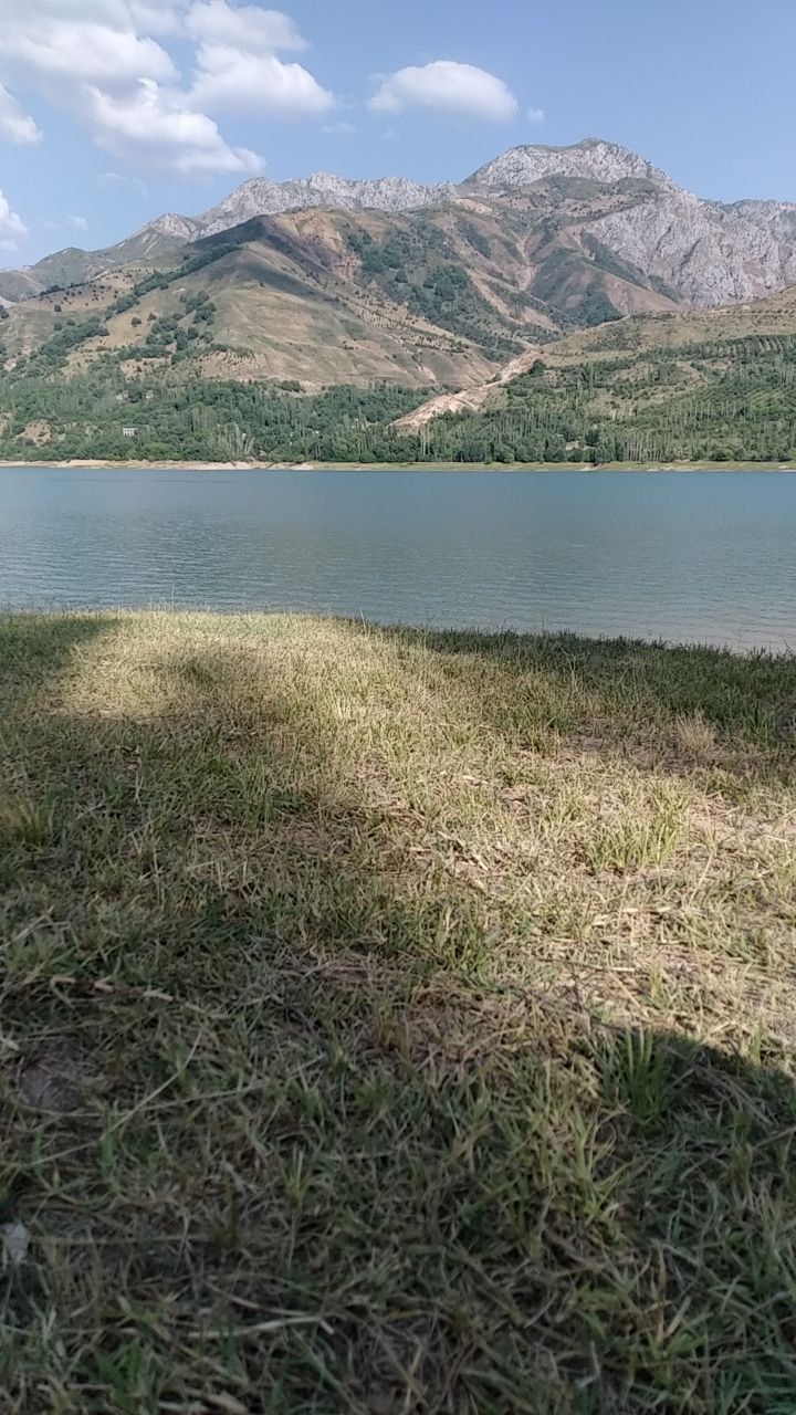 Дача на берегу чарвака