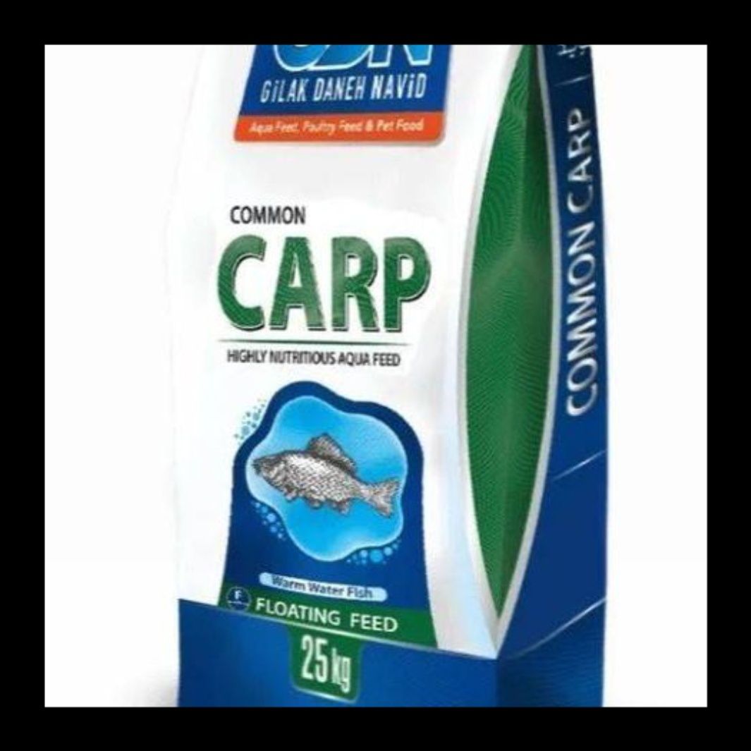 Baliq boqish uchun Toza Sfadli COMON CARP spes korm bor Toshkend