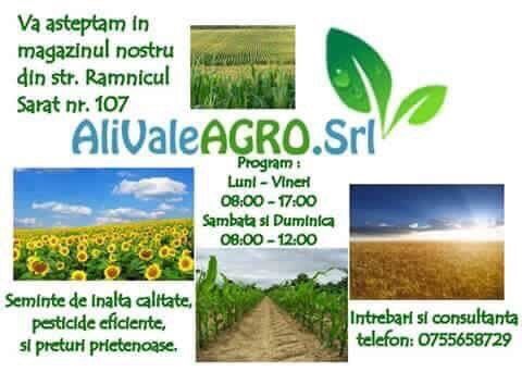 Sămânță Lucerna POMPOSA