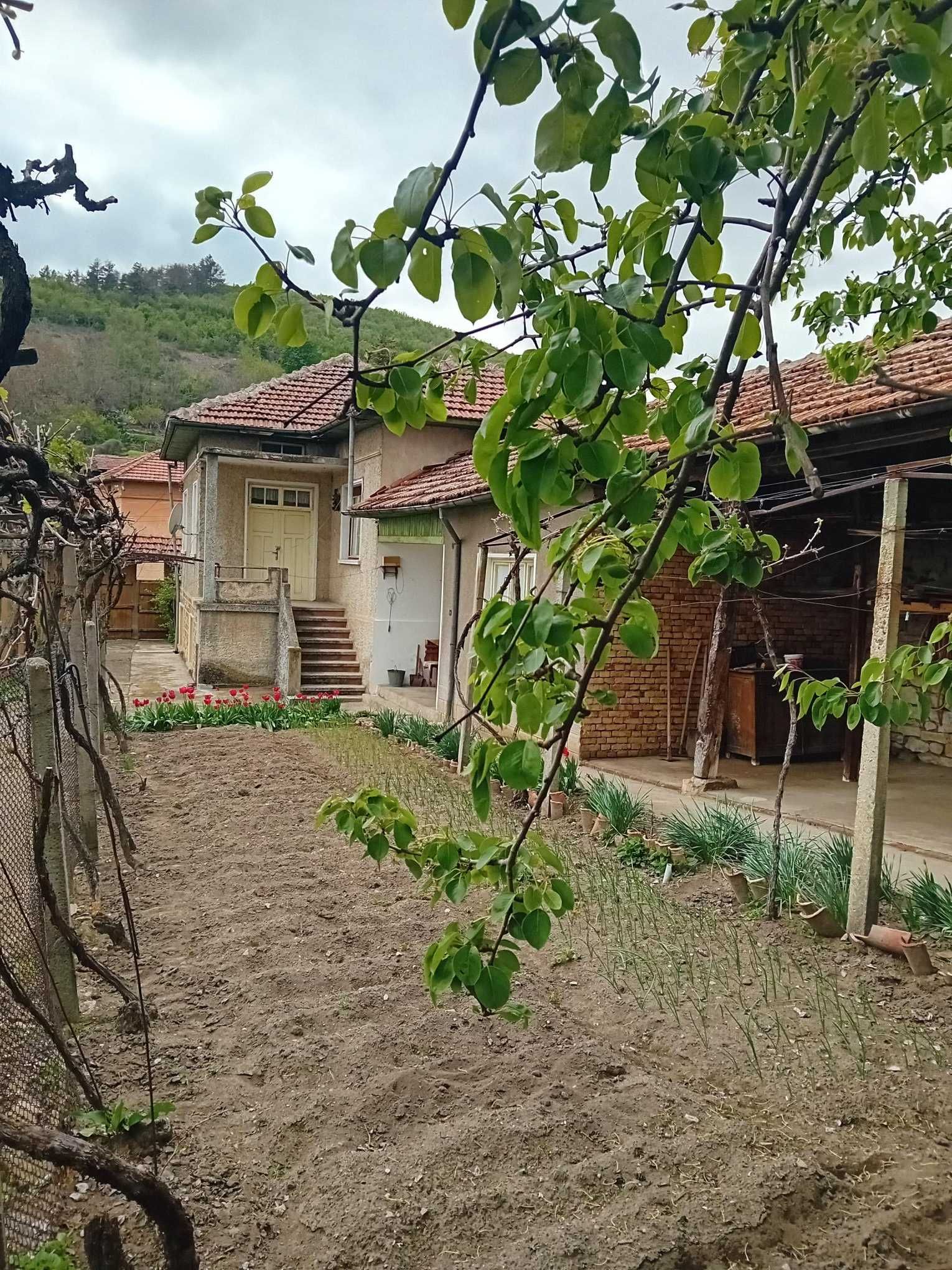 Къща в град Сухиндол
